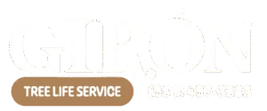 Giron Tree Life Service