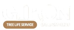 Giron tree life services Inland Empire